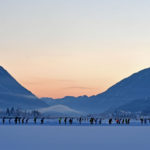 Always wanted to ride the Elfstedentocht?